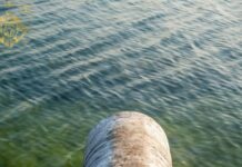 Procuratura Generală s-a autosesizat pe cazul poluării fluviului Nistru