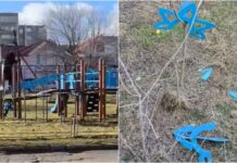 Act de huliganism la un teren de joacă din preajma Cetății Soroca / VIDEO