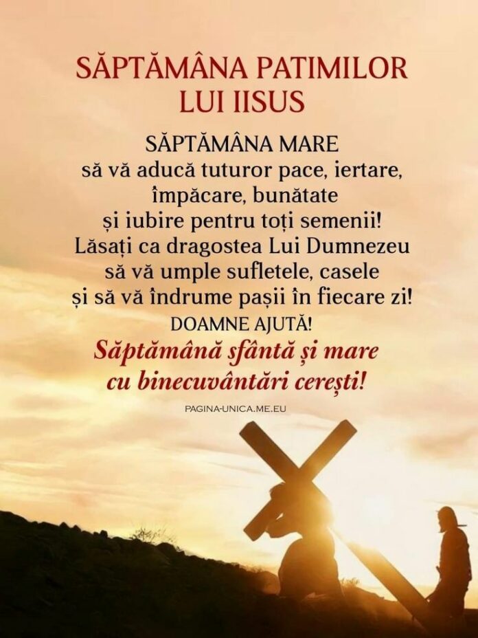 04b687b67f214230ae3ca09e1cdfbf4e