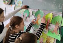 Elevii de la LT „Petru rareș” din Soroca au aflat despre rolul esențial al pădurilor în menținerea echilibrului ecologic.