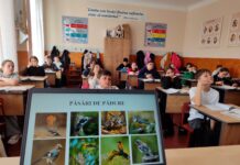 „Luna Pădurii 2026” la Drochia: lecții ecologice pentru un viitor mai verde