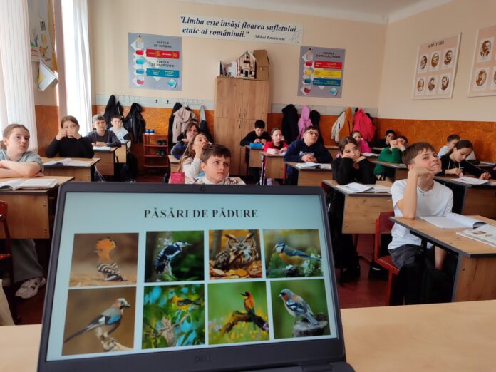 5f6db811432e3be94defa35865130e8643319456