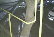 Furt într-un bloc din oraș: apel către cetățeni pentru identificarea suspectului