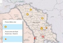 În satul Șalvirii Noi a fost înregistrat un focar de rabie la câine