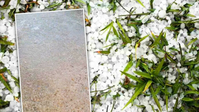 6c84f4bd40421bb2cb4217e67354403f