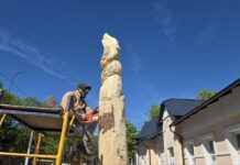 O nouă viață pentru arborii uscați din Soroca – sculptura urbană în lemn / VIDEO