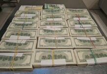 Operațiunea regională „NELSON-2026”: peste 10 milioane de lei scoși din circuitul ilicit