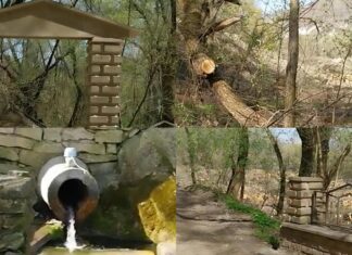 „E păcat să fie lăsat în mizerie”: inițiativă de curățare a unui izvor din Soroca