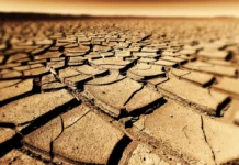 Seceta ar putea grăbi apariția bacteriilor rezistente la antibiotice: un nou studiu trage un semnal de alarmă