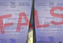 STOP FALS! Serviciul Fiscal de Stat atenționează asupra unor mesaje frauduloase transmise prin WhatsApp