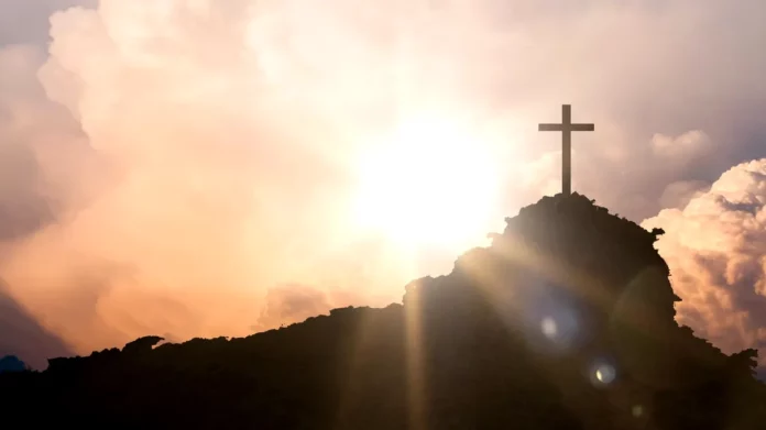 profimedia-0995589988