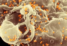 HIV ar fi putut schimba ADN-ul uman: cum au oprit tratamentele moderne evoluția forțată a sistemului imunitar