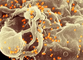 HIV ar fi putut schimba ADN-ul uman: cum au oprit tratamentele moderne evoluția forțată a sistemului imunitar