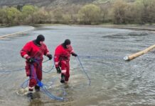 Nistrul rămâne fără viitură în 2026, al treilea an consecutiv. Soluții pentru depășirea crizei