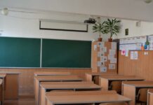 Noi detalii despre cazul profesoarei agresate: De la ce a pornit conflictul?