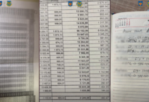 Profesori fără garanții și milioane ascunse: schemă de evaziune în predarea limbilor străine