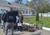 Al 18-lea membru al unei rețele, pus la pământ. „Ajutau” ucraineni să fugă de armată / VIDEO