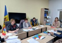 Afaceri cu gust de succes: o nouă afacere apicolă lansată prin sprijin guvernamental
