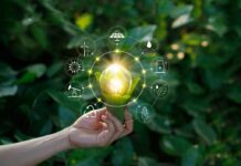 Proiectele moldovenești din domeniul energiei verzi pot obține finanțare de un milion de dolari