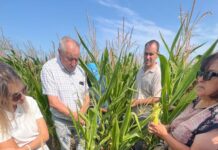 Astăzi este Ziua Internațională a Sănătății Plantelor