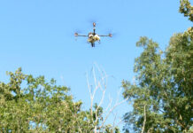 Peste 100 de hectare de pădure, stropite cu pesticide. Măsura, necesară pentru protejarea stejarilor