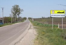Duminică, 17 mai, la Hăsnășenii Mari are loc un referendum, iar în comuna Frumușica se alege un nou primar