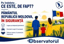 Se vinde pământul străinilor? Adevărul din spatele zvonurilor