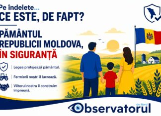 Se vinde pământul străinilor? Adevărul din spatele zvonurilor