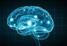 O boală genetică rară schimbă modul în care oamenii de știință înțeleg „centrul fricii” din creier