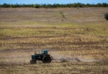 Fermierii, lăsați fără bani. Agricultura primește doar 6% din creditele acordate economiei