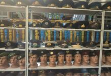 Expoziție de excepție la Drochia: colecția cu renume mondial a fascinat publicul de Ziua Copiilor