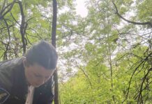 Inspectorii pentru Protecția Mediului au identificat două cazuri de defrișare ilegală în trupul de pădure Vertiujeni