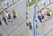 Accident pe „zebră”: o femeie s-a ciocnit cu o căprioară