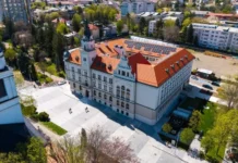 Meșterii de la Cosăuți vor realiza monumentul „Crucea eroilor”, pentru care Consiliul Juidețean Suceava va achita 40.000 de lei românești