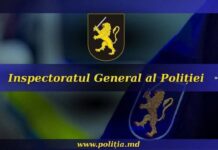 24 de ore, 19 cazuri de fraudă telefonică, prejudiciu total de peste 2 milioane de lei
