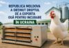 Republica Moldova a obținut dreptul de a exporta ouă pentru incubare în Ucraina