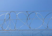 Trei bărbați, cu vârste cuprinse între 30 și 39 de ani, învinuiți de organizarea migrației ilegale a unor cetățeni străini.
