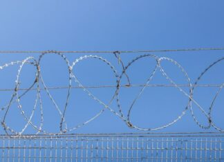 Trei bărbați, cu vârste cuprinse între 30 și 39 de ani, învinuiți de organizarea migrației ilegale a unor cetățeni străini.