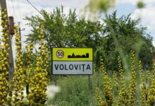 Inspectorii de mediu din Soroca au sancționat un caz de răspândire a ambroziei în localitatea Volovița