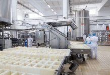 Paradox economic de la Soroca: Muncitori mulți, valoare mică și o industrie dependentă de un singur mare producător