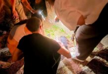 Un câine ar fi fost înjunghiat și lovit cu un scaun. Martorii fac apel la identificarea agresorului