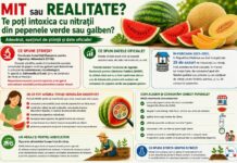 Mit sau realitate? Poți face intoxicație cu nitrați după ce mănânci pepene verde ? Explicațiile ANSA