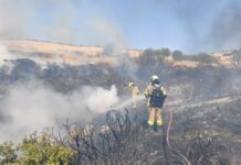 Pompierii moldoveni au stins un nou incendiu de vegetație în Grecia / GALERIE FOTO