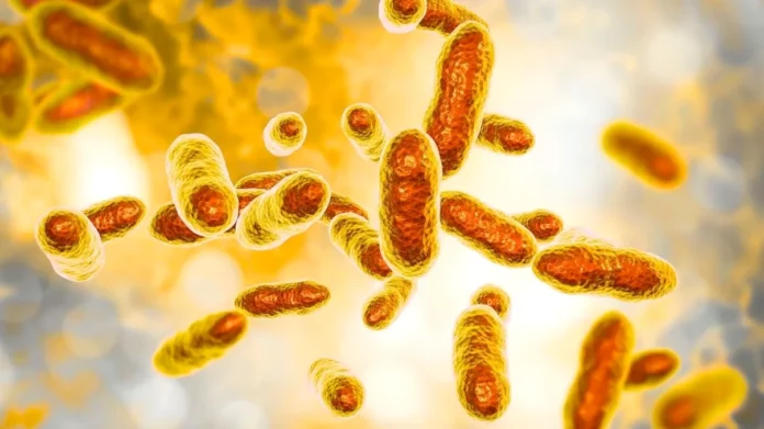 bacterie