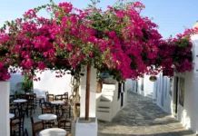 Insula din Grecia cu plaje spectaculoase și mâncare ieftină. Aici poți găsi preparate delicioase la doar 3 euro