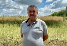 Constantin Andriuță: „Suntem mulțumiți de recolta din acest an” / VIDEO